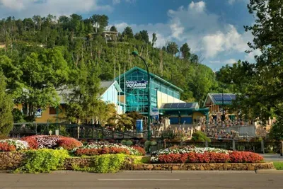 Gatlinburg Condo Walk to Ober - image 24 of 34