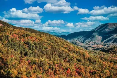 Heavenly Horizon - image 46 of 47