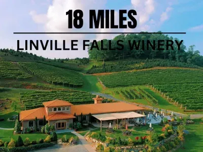 Beautiful winery,  Live music and food trucks on the weekends. Open 12-6