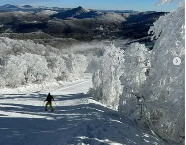 Photo courtesy of Sugar Moutain Instagram