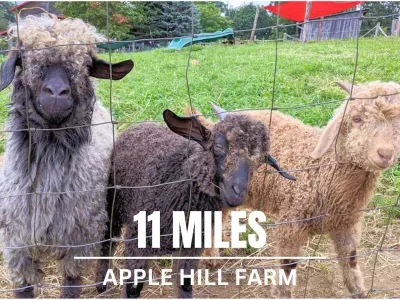 Book a tour to see the animals, or try goat yoga! Closed Sunday and Monday.