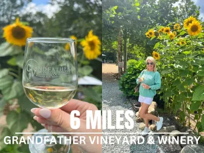 Great wine and beautiful surroundings! It’s open 12-6 daily.