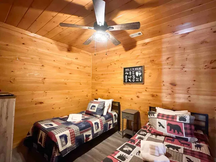 Second basement bedroom hosts 2 twin beds.