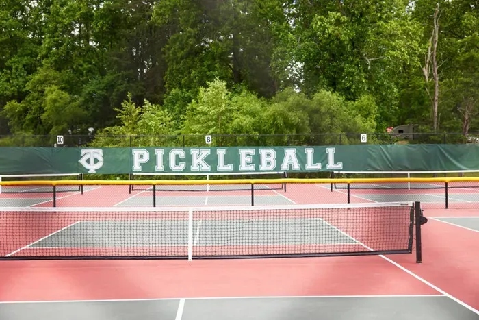 Get ready for some friendly competition with North Georgia pickleball nearby.