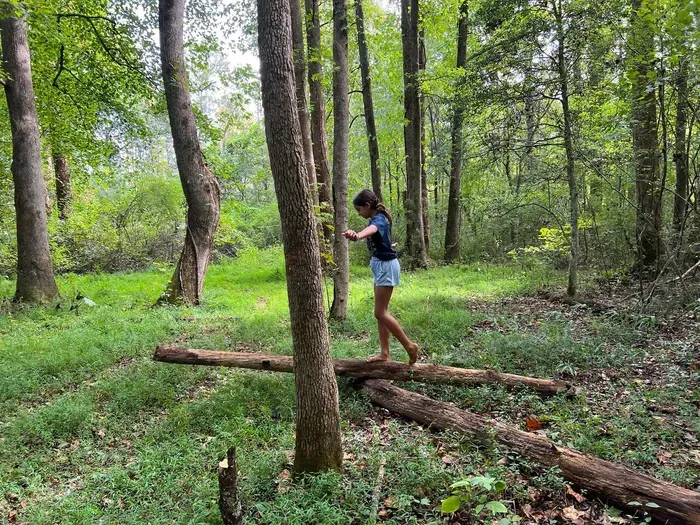 Plenty of places to play in the 19 acres of woods!!