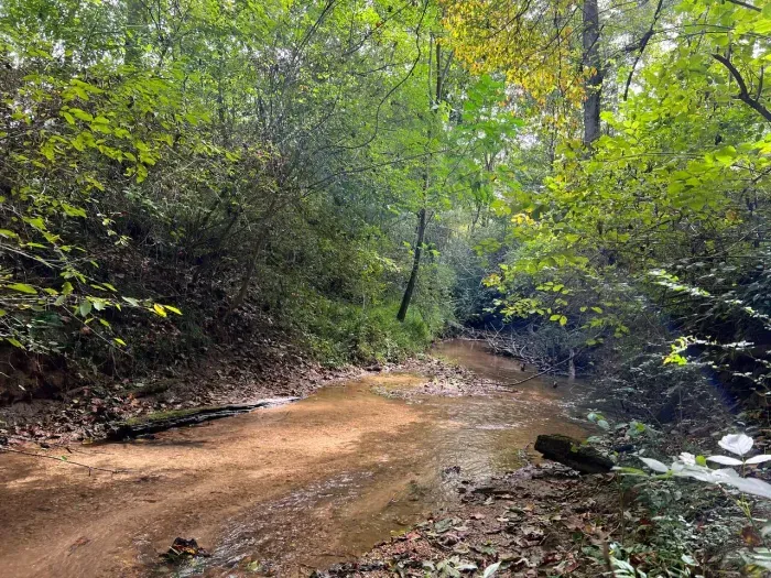 Relax by the creek!!