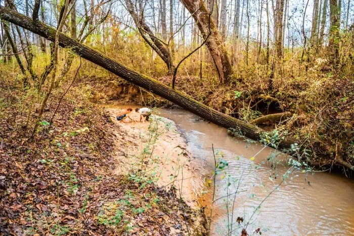 Play in the cold waters of Mush Creek.