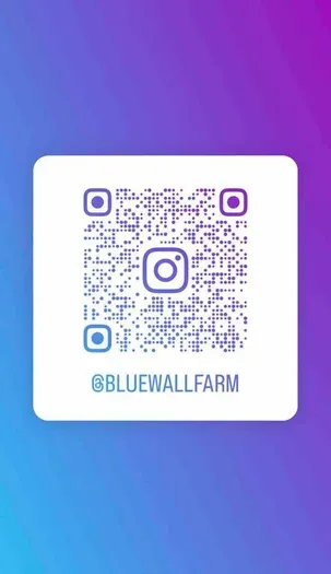 Follow us @bluewallfarm