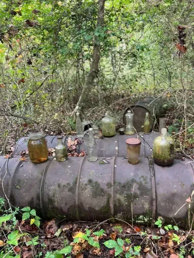 Remnants of the Dark Corner past scattered throughout the woods!!
