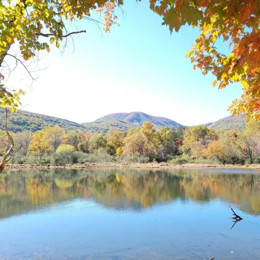Hike the Blue Wall Preserve just a short drive from the Farm!!