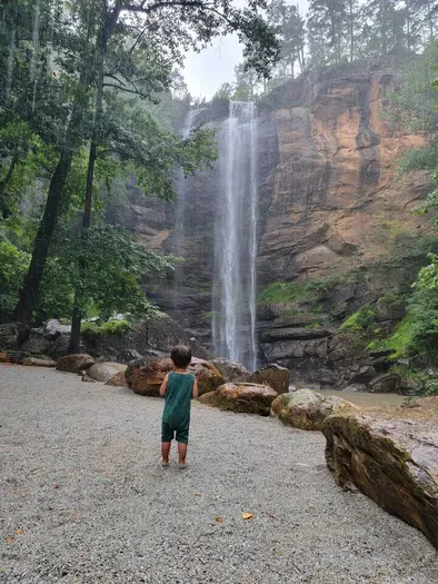 Beautiful Toccoa Falls! Very easy walk to falls & 17 miles from the house!