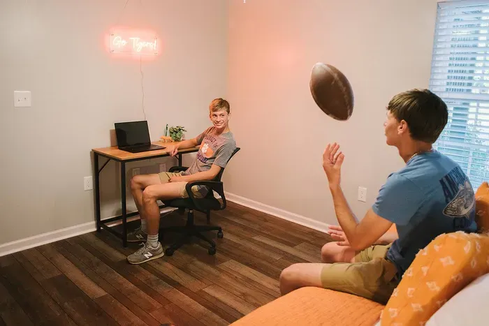 Dedicated workspace in second bedroom.