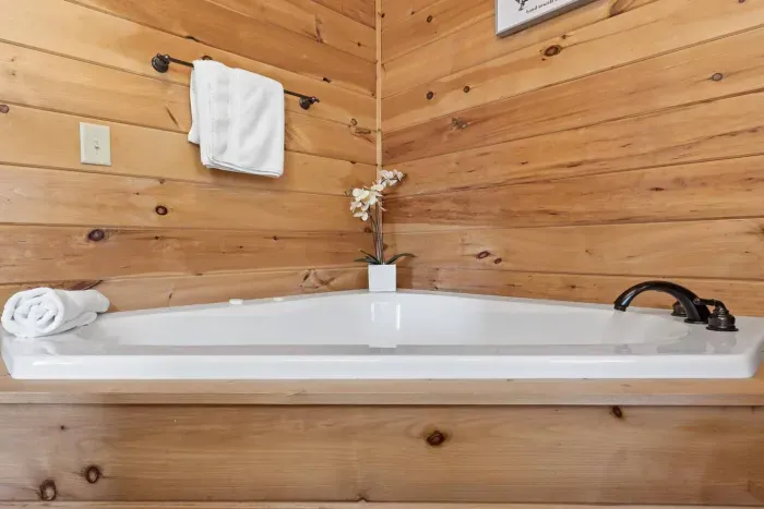 Cozy Bear Cabin-Blue Ridge - image 78 of 88