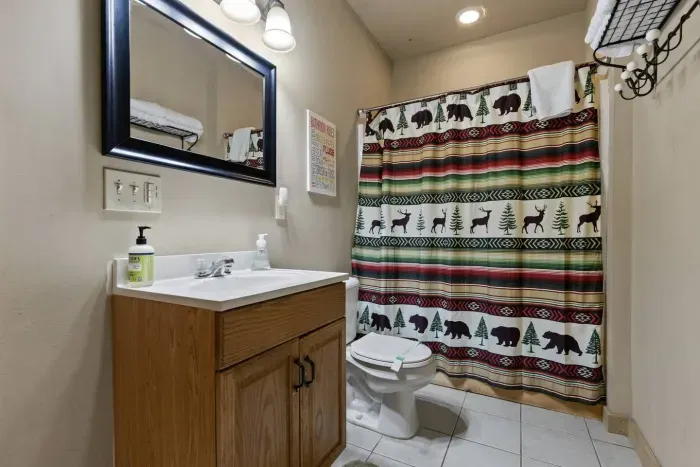 Cozy Bear Cabin-Blue Ridge - image 61 of 88