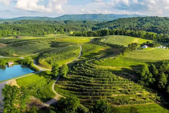 Spend the day at Mercier Orchard