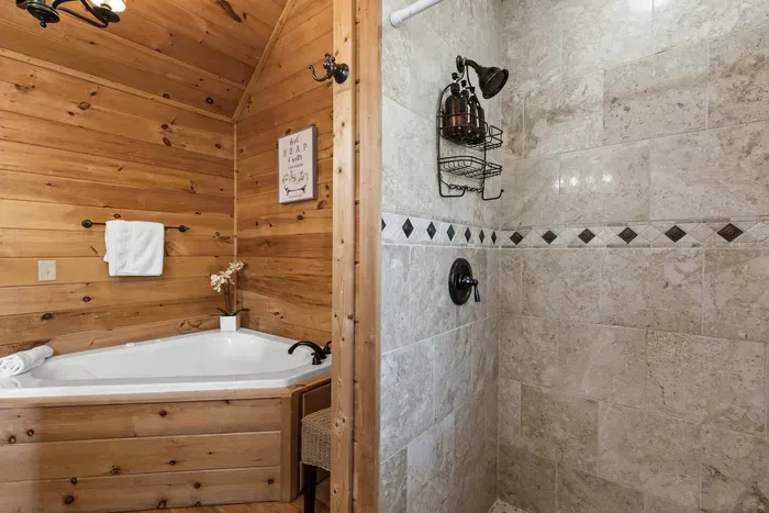 Cozy Bear Cabin-Blue Ridge - image 79 of 88