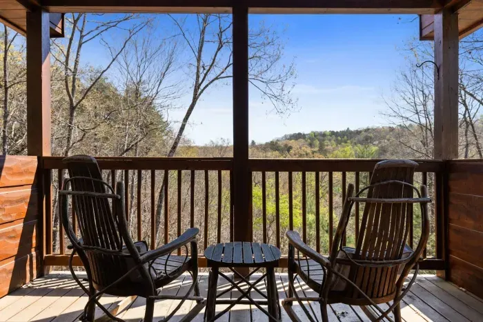 Cozy Bear Cabin-Blue Ridge - image 77 of 88