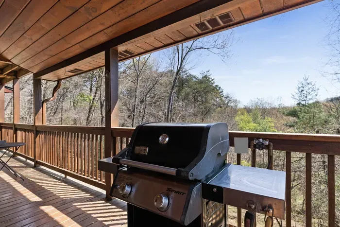 Cozy Bear Cabin-Blue Ridge - image 70 of 88