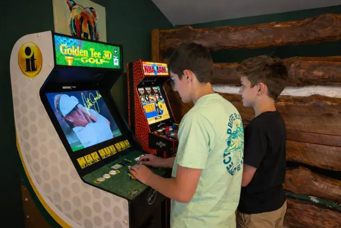 Cozy Bear Cabin-Blue Ridge - image 53 of 88