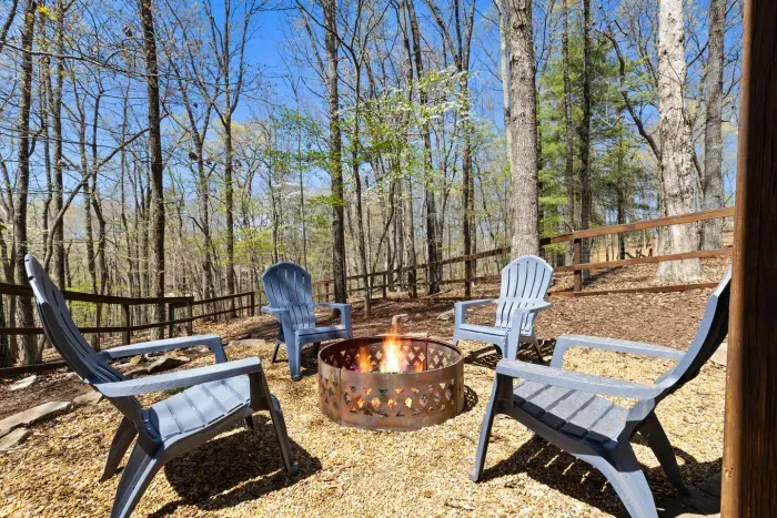 Blue Chalet-Mineral Bluff - image 72 of 81