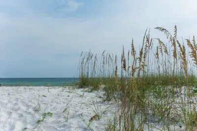 Lil Nauti - image 56 of 58