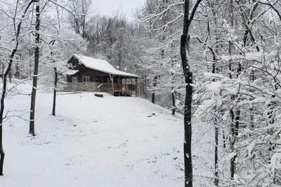 Hocking Hills Half Stoned Cabin in the Woods - image 19 of 20