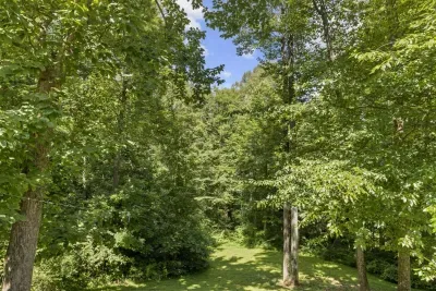 Hocking Hills Half Stoned Cabin in the Woods - image 17 of 20
