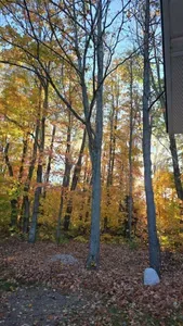 The Arrowroot Lodge Up North in Gaylord Michigan - image 26 of 29