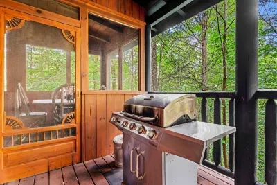 Gas Grill