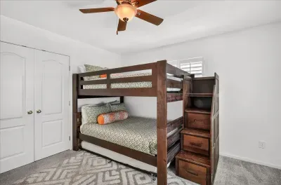 Royal Palm - image 9 of 16