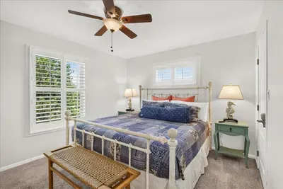Royal Palm - image 8 of 16