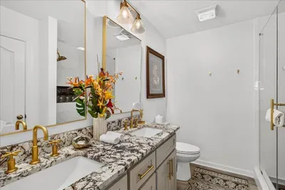 Royal Palm - image 12 of 16