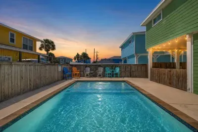 Royal Palm - image 1 of 16