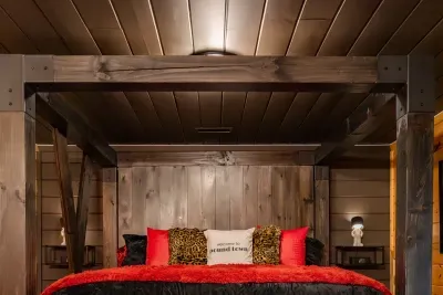 King size bed with cage underneath.