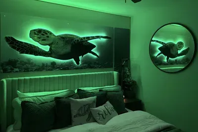 Interactive, light up decorations in king bedroom