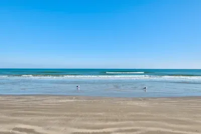 Bougie Beach House - image 31 of 48