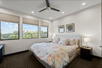 Panoramic Ocean Views Dana Point - image 31 of 45