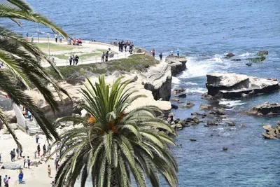view-from-above-of-la-jolla-cove-near-san-diego-ca-2026-03-09-21-52-49-utc