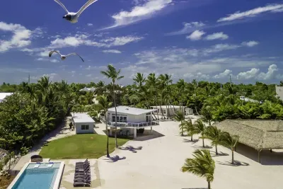 Aerial shot that even the birds love