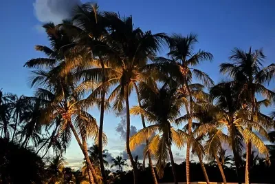 Oasis at night is MAGICAL!