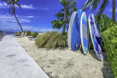 Kayaks, paddleboards, and Bikes for your use