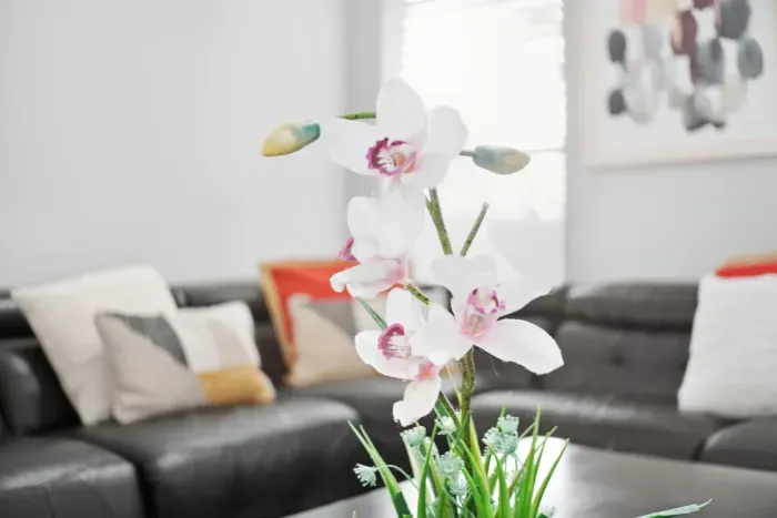 16-print-534 Paloma Dr_16.jpg