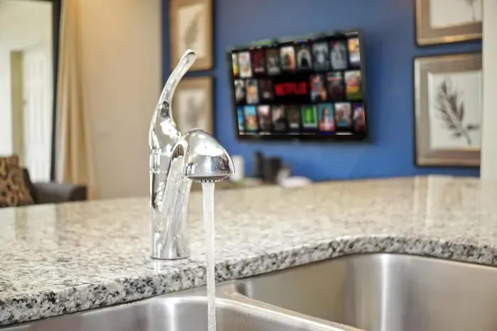 8851 Geneve Ct_14.jpg