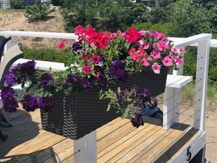 Our planters :) If it's really hot out during your stay for an extended period, please give them some water