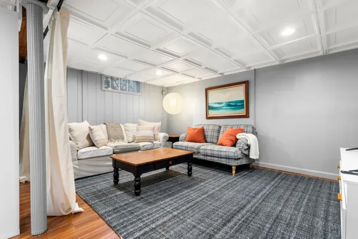 Basement TV room with three-seater couch and a love seat