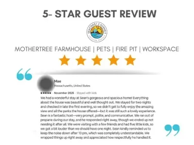 5 Star Review from a Recent Guest