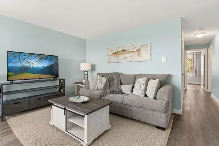 Living room with strong WiFi and smart TV