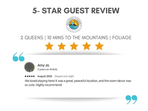 Ski VT - 5 Star Review from a guest