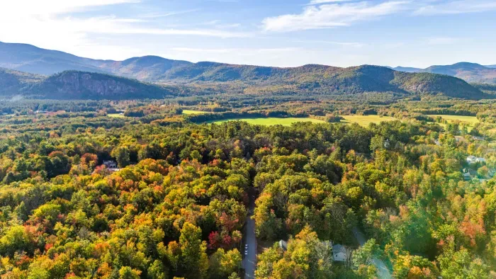 Another aerial of just above The Ash Lodge - the foliage is something else at this time of year!