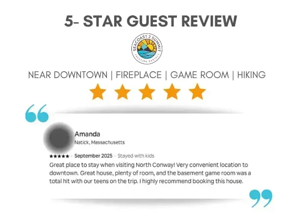 5 Star Review from a Recent Guest